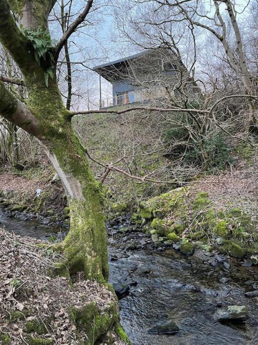 Luxury Lodge In The Treetops Llanbrynmair Экстерьер фото