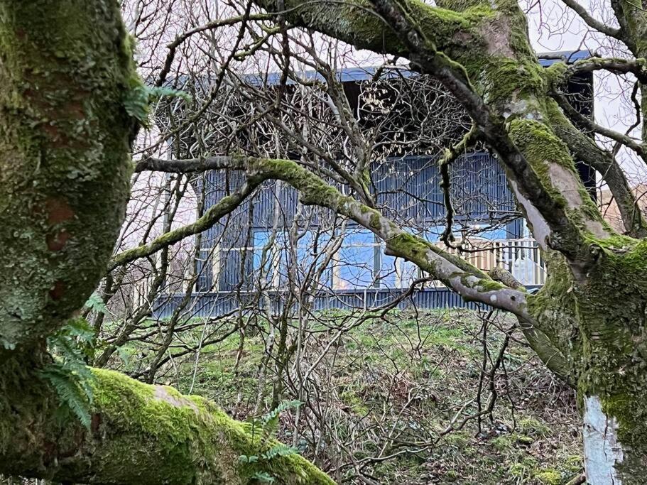 Luxury Lodge In The Treetops Llanbrynmair Экстерьер фото