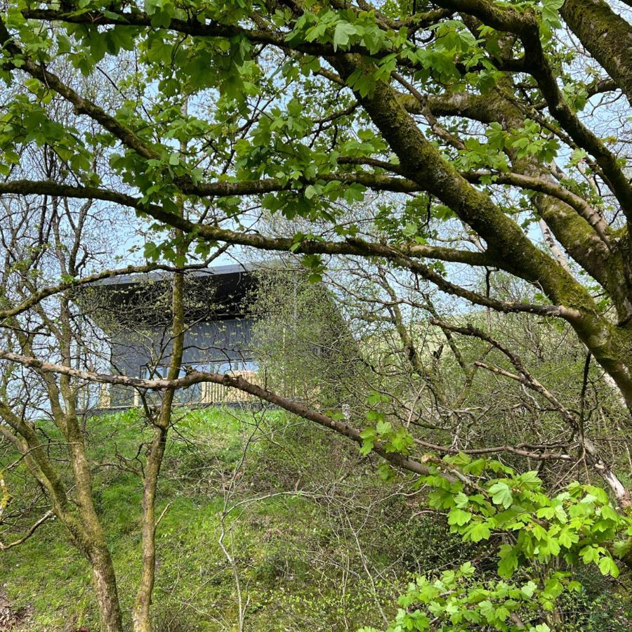 Luxury Lodge In The Treetops Llanbrynmair Экстерьер фото
